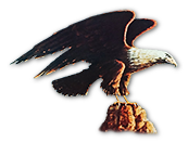 Republic Eagle